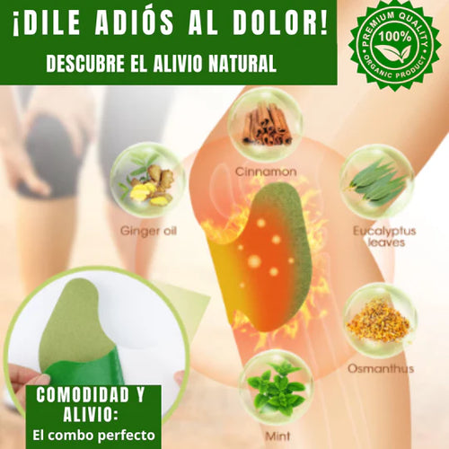 PARCHES JAPONESES NATURE PATCH PAGA 10 Y LLEVA 30 PARCHES + [Envío Gratis] 🎁